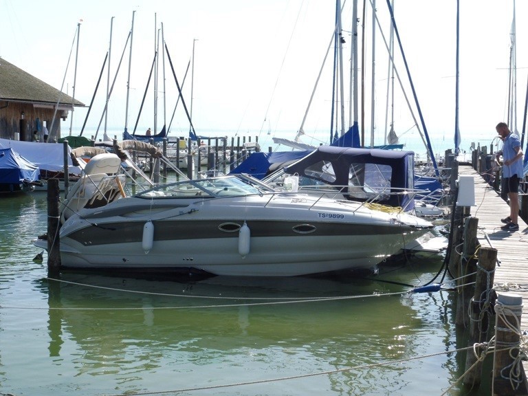 Crownline 236